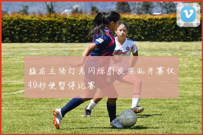 猛龙主场灯光闪烁引发混乱开赛仅40秒便暂停比赛